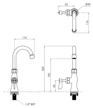 Stainless Steel Single Hob Mount Body with Single Control and 12" Gooseneck Spout- 3Monkeez T-3MSHG12