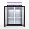 1006L Black Upright Double Glass Door Freezer - Thermaster LG-1006DF