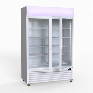 1200L Large Two Glass Door Colourbond Upright Drink Fridge - Thermaster LG-1200P