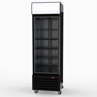 Thermaster Single Glass Door Colourbond Upright Drink Fridge LG-370BP