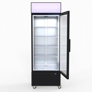 540L Single Glass Door Black Colourbond Upright Drink Fridge - Thermaster LG-540BP