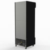 540L Single Glass Door Black Colourbond Upright Drink Fridge - Thermaster LG-540BP