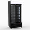 Thermaster Double Glass Door Colourbond Upright Drink Fridge LG-580BP