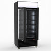 Thermaster Double Glass Door Colourbond Upright Drink Fridge LG-580BP