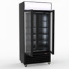 Thermaster Double Glass Door Colourbond Upright Drink Fridge LG-580BP