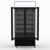 Thermaster Double Glass Door Colourbond Upright Drink Fridge LG-580BP