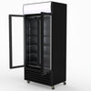 Thermaster Double Glass Door Colourbond Upright Drink Fridge LG-580BP