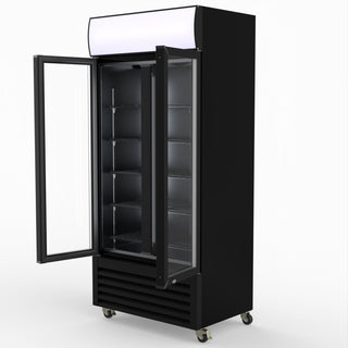 Thermaster Double Glass Door Colourbond Upright Drink Fridge LG-580BP