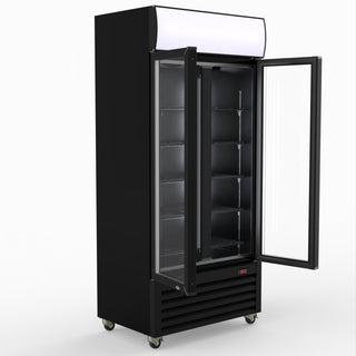 Thermaster Double Glass Door Colourbond Upright Drink Fridge LG-580BP