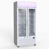 Thermaster 580L Double Glass Door Colourbond Upright Drink Fridge LG-580P