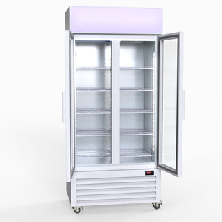 580L Double Glass Door Colourbond Upright Drink Fridge - Thermaster LG-580P