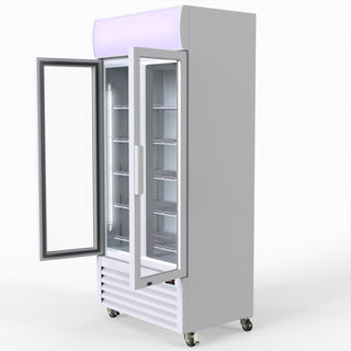 580L Double Glass Door Colourbond Upright Drink Fridge - Thermaster LG-580P