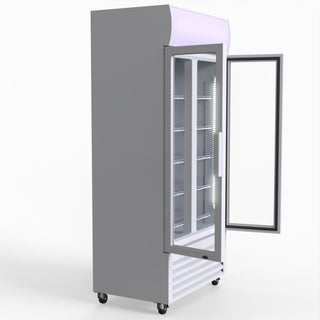 580L Double Glass Door Colourbond Upright Drink Fridge - Thermaster LG-580P