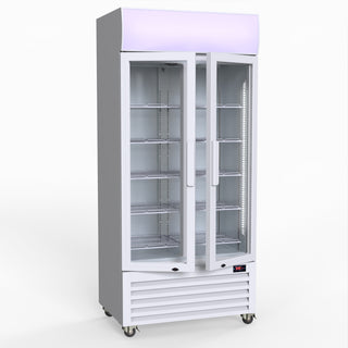 580L Double Glass Door Colourbond Upright Drink Fridge - Thermaster LG-580P