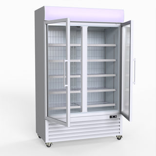 800L Upright Double Glass Door Freezer – - Thermaster LG-800PF