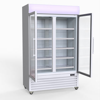 800L Upright Double Glass Door Freezer – - Thermaster LG-800PF