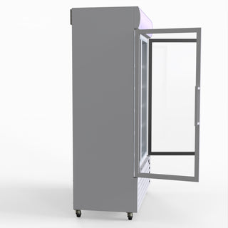 800L Upright Double Glass Door Freezer – - Thermaster LG-800PF