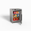 FED-X Thermaster Stainless Steel Uprighht Static Freezer XF200SS