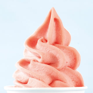Carpigiani Single-Flavour Soft Serve Machine - 191 STEEL