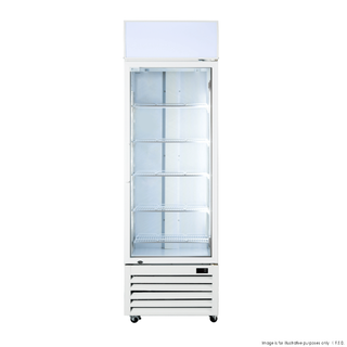 Ex-Showroom: Thermaster Single Glass Door Colourbond Upright Drink Fridge - LG-370P-QLD209