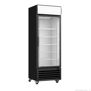 Thermaster Single Glass Door Colourbond Upright Drink Fridge LG-370BP